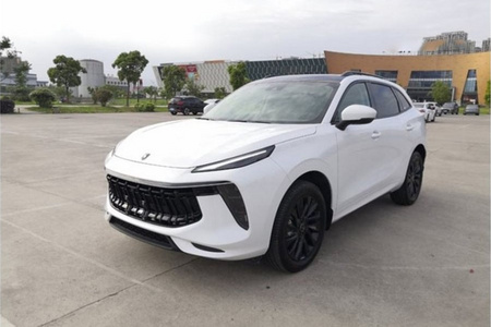 攀枝花二手风行T5 EVO 2021款 1.5TD 双离合 铂金版