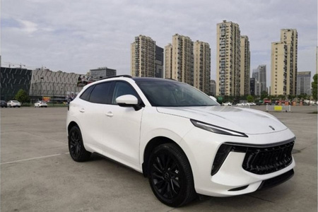 攀枝花二手风行T5 EVO 2021款 1.5TD 双离合 铂金版